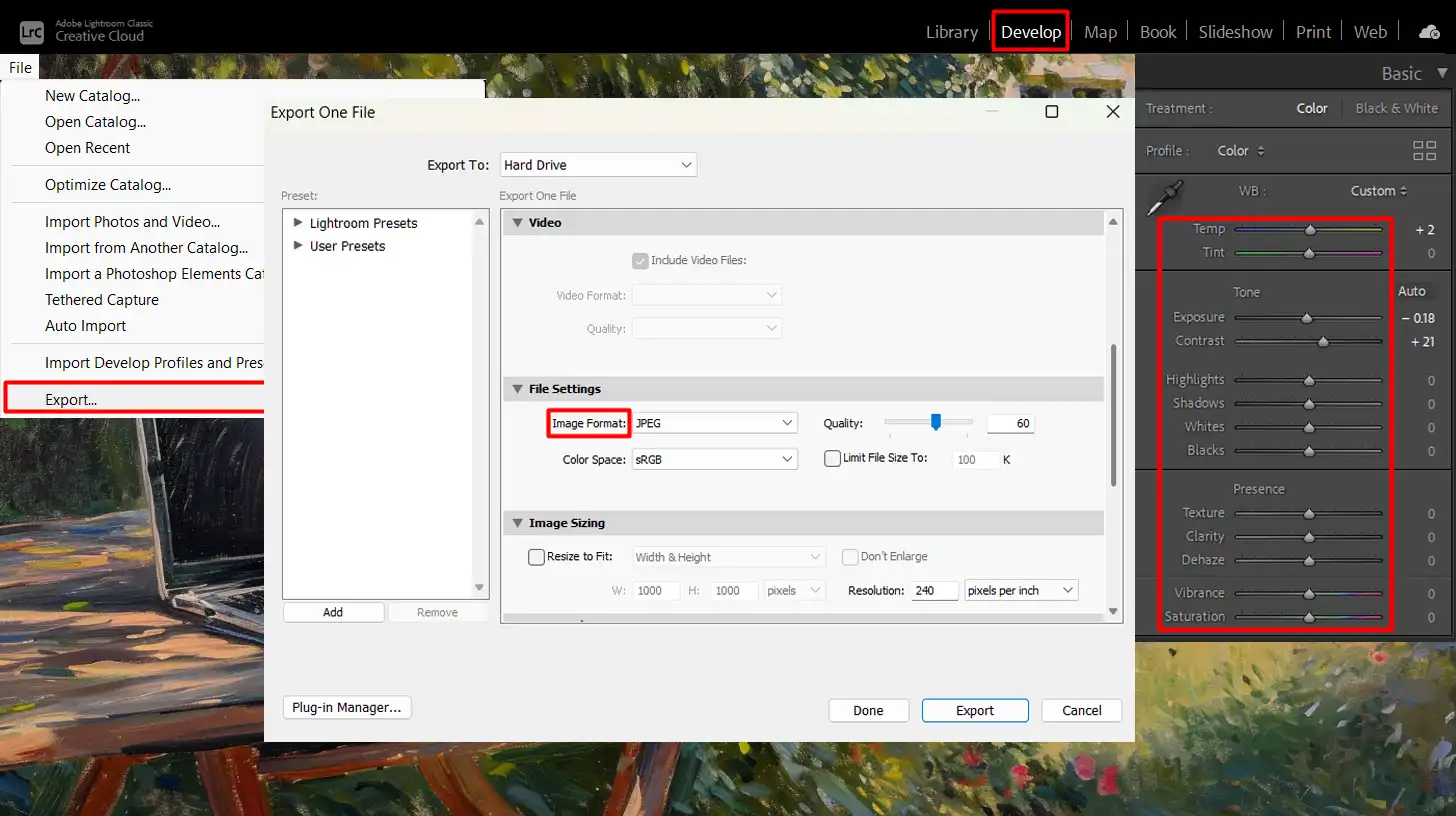 A LR export window showing Web performance photo type as the selected document format