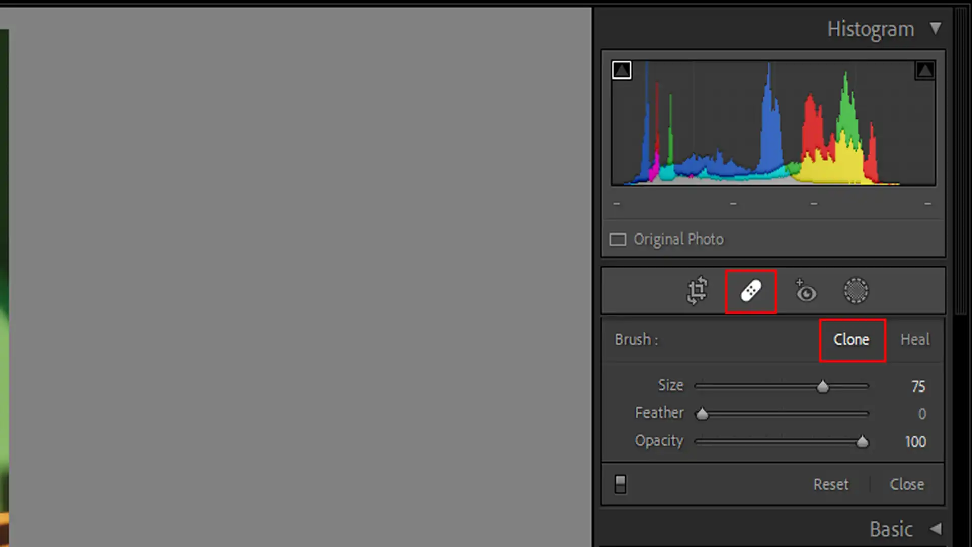Lightroom interface showing the clone tool in action for precise editing.