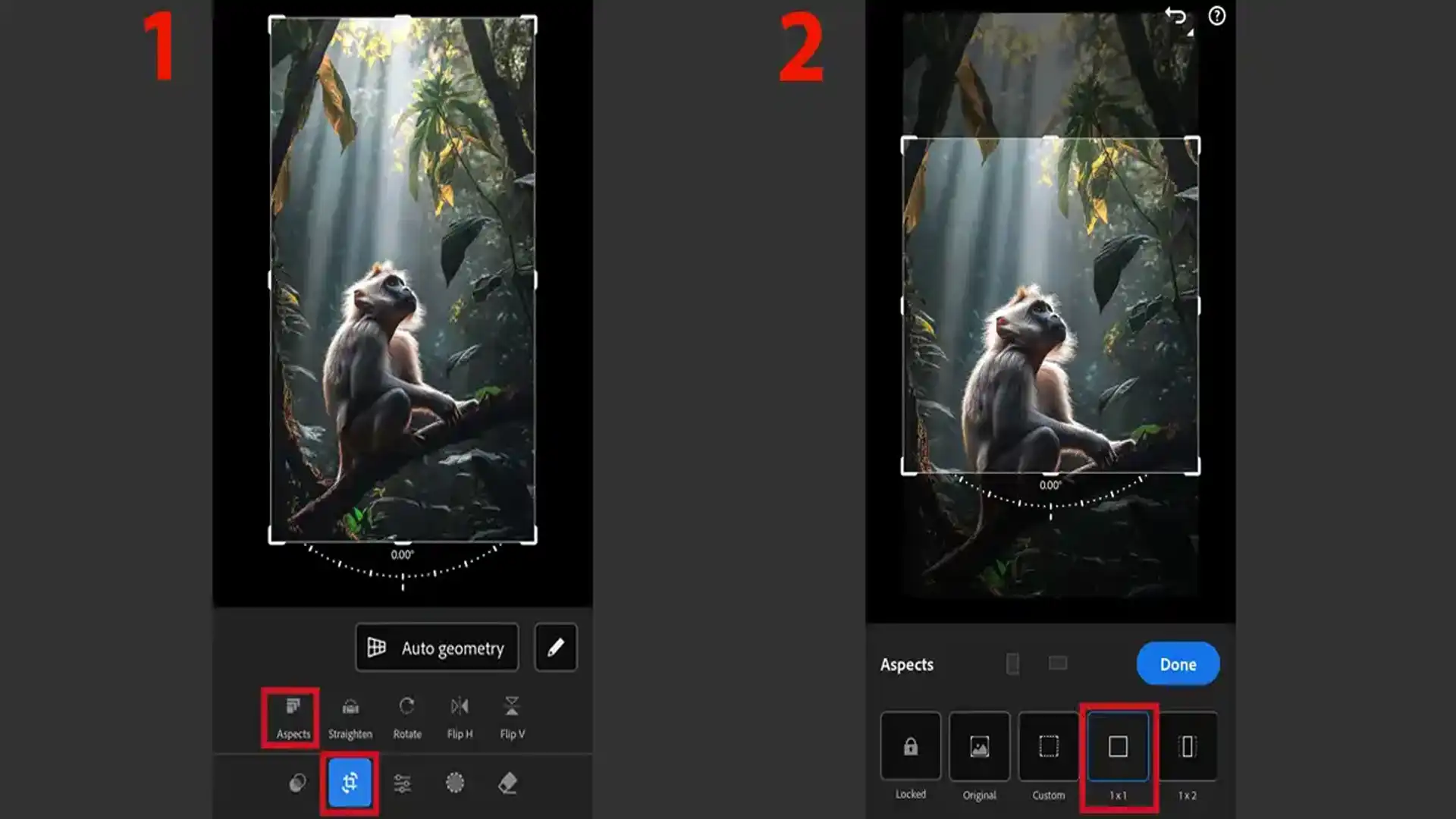 Aspect Ratio Selection in Lightroom Mobile