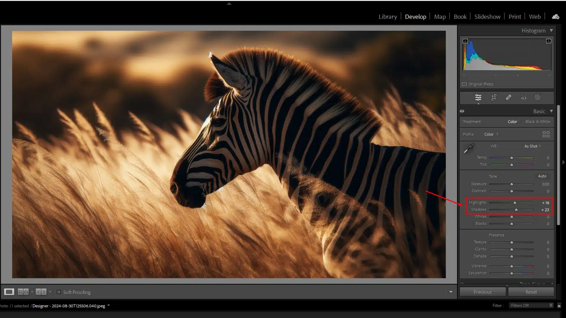 Zebra in Lightroom with shadow and highlight adjustments applied, enhancing details in the darker areas of the subject.