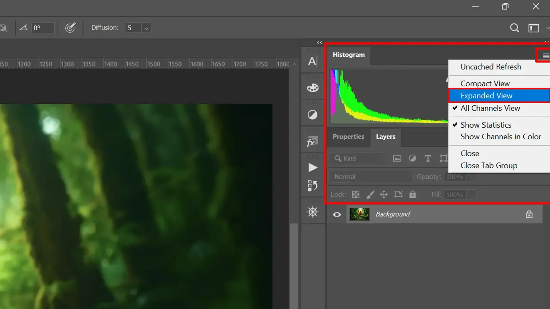 PS interface showing the histo-gram panel settings, with options to select views like Expanded View and All Channels View.