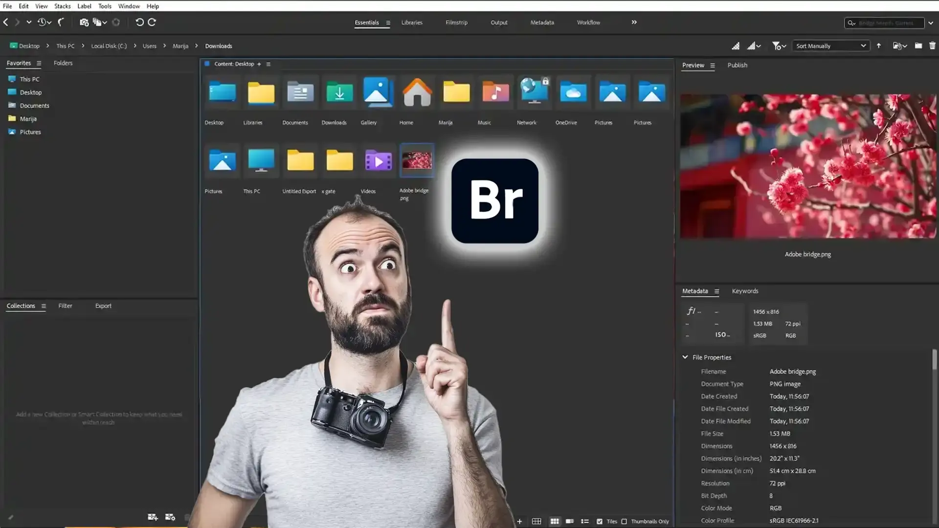 Adobe Bridge interface overview for digital asset management