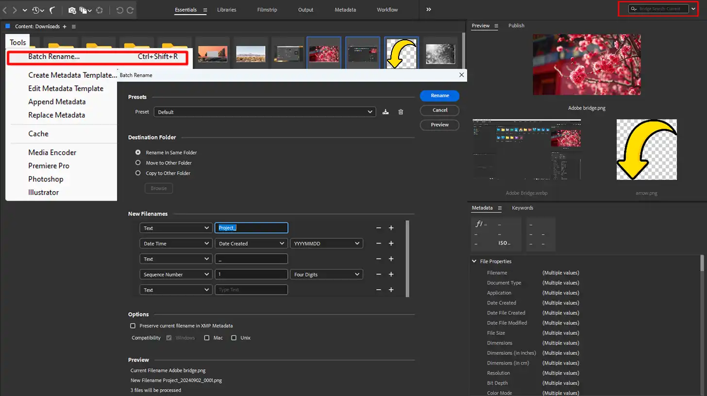 Batch processing options in Creative Cloud file organizer