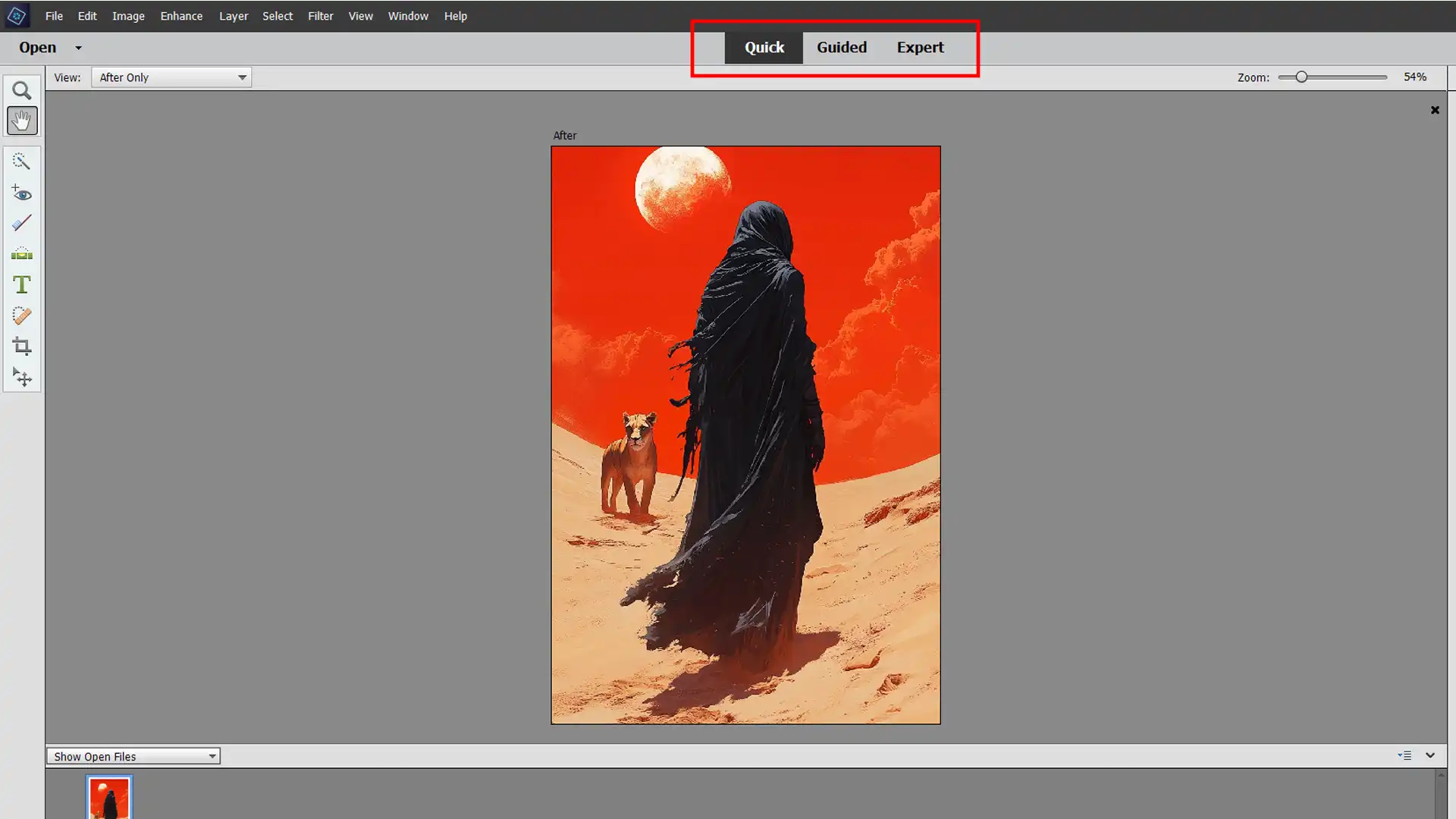 Photoshop Elements interface showing editing modes: Quick, Guided, and Expert.