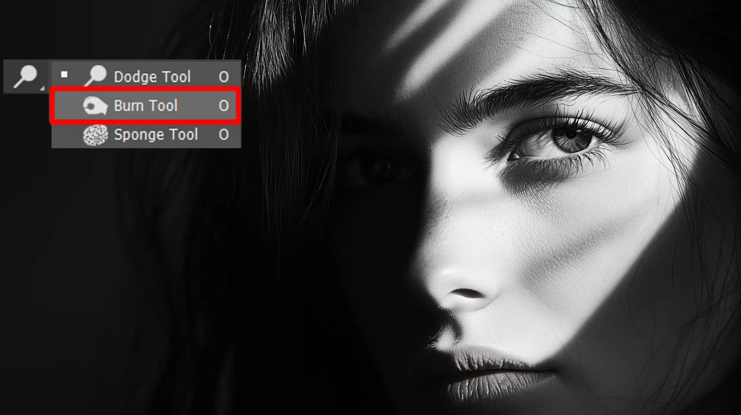 Burn Tool in Photoshop interface