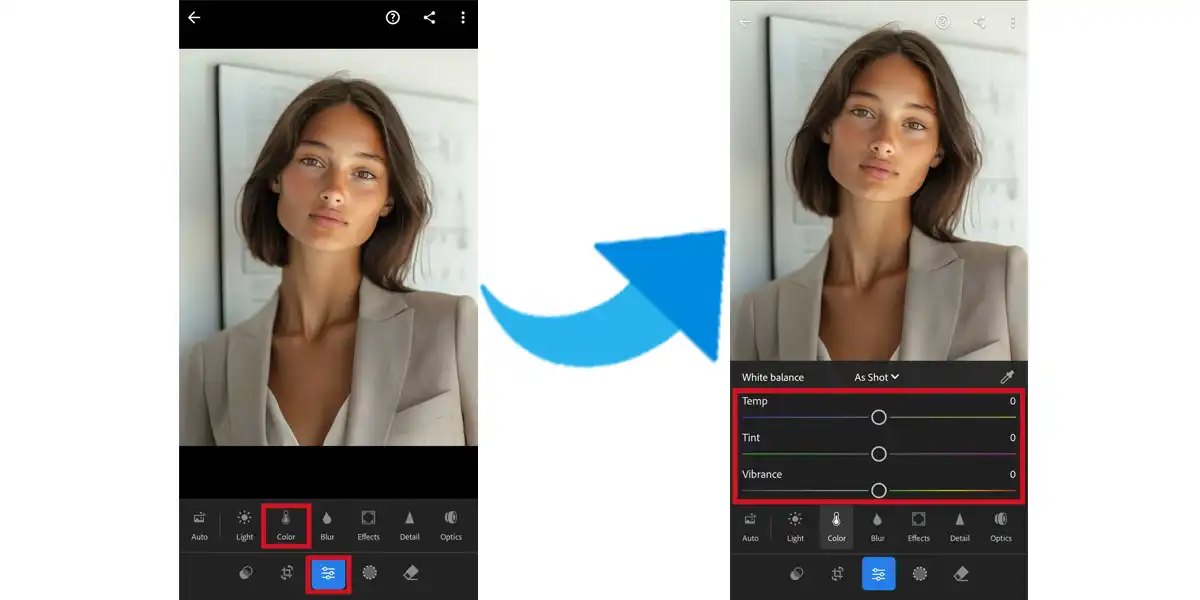 Lightroom Mobile Color Correction Tool for adjusting color balance