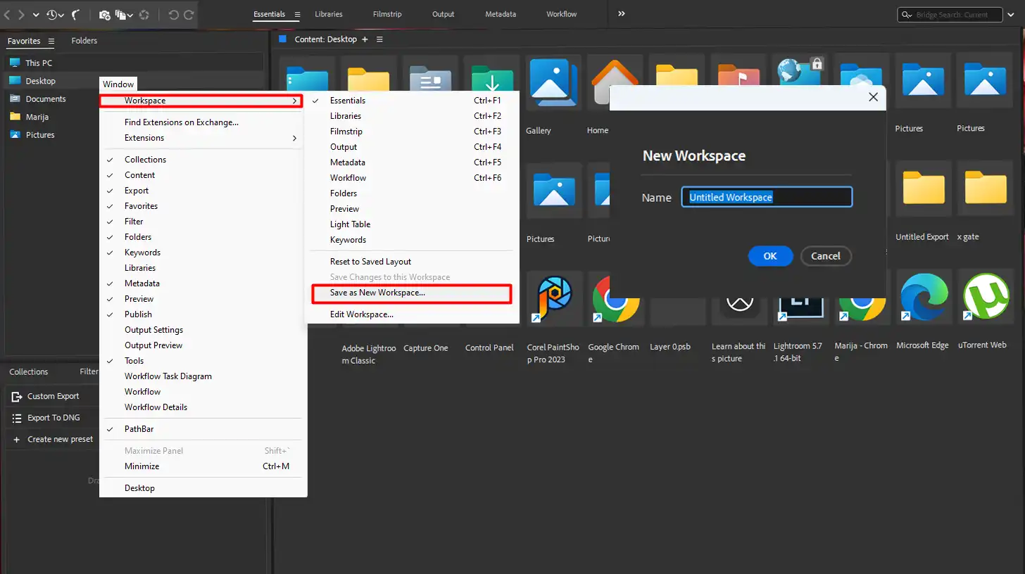 Adobe Bridge Save New Workspace customization interface