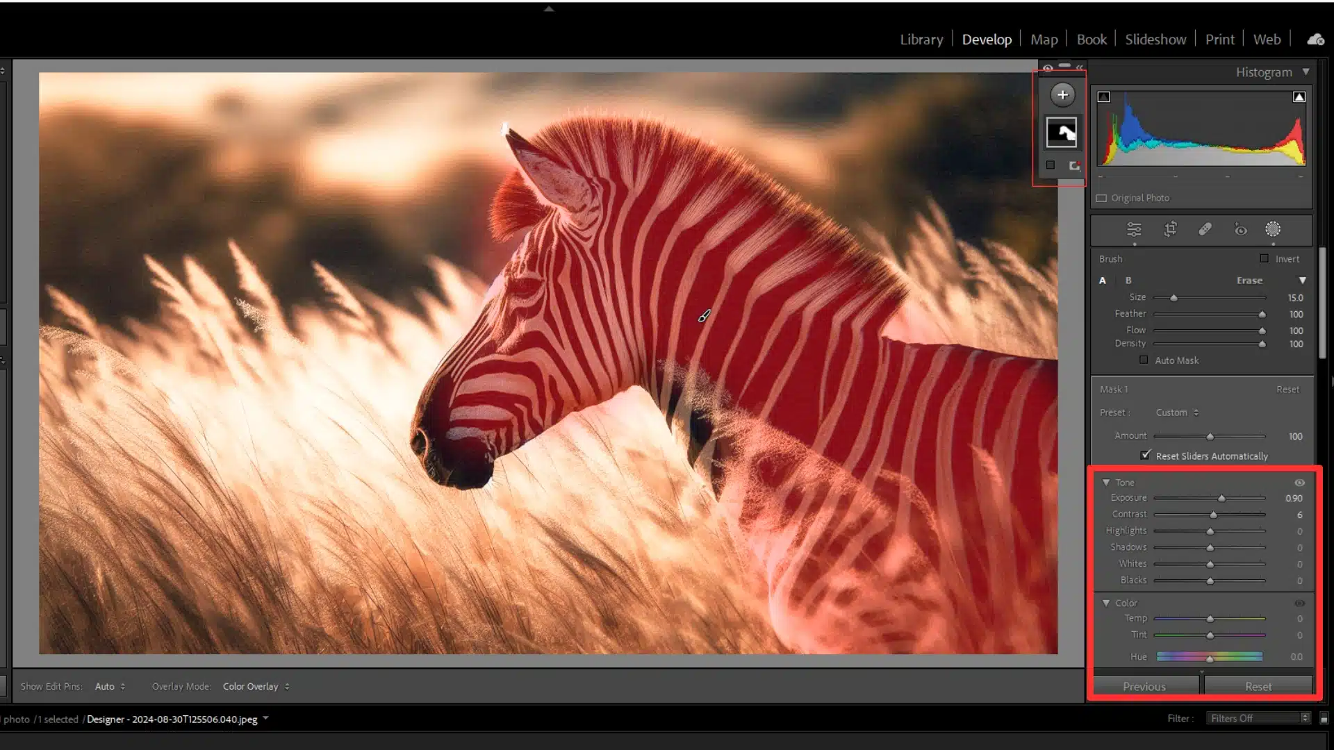 A zebra in a golden field being selectively edited using local adjustments and masking tools in Adobe Lightroom.