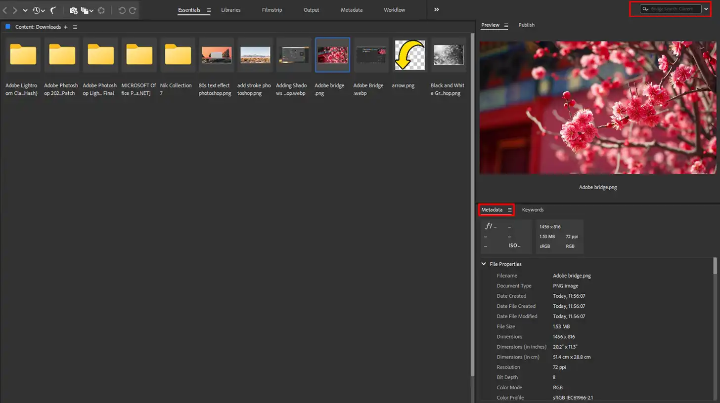 Adobe Bridge metadata management and search functionality