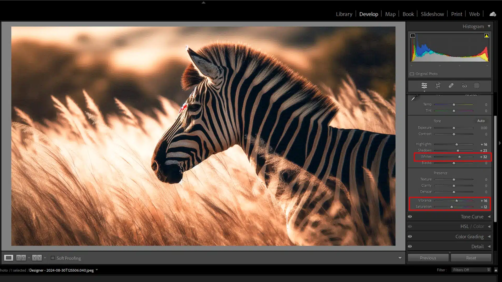 Zebra in Lightroom with adjustments to whites, vibrance, and saturation, enhancing the color balance and managing highlights for a natural effect.