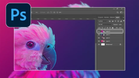 Parrot image in Photoshop workspace demonstrating how to select a layer in Photoshop, with layers panel showing multiple selected layers and adjustment options.
