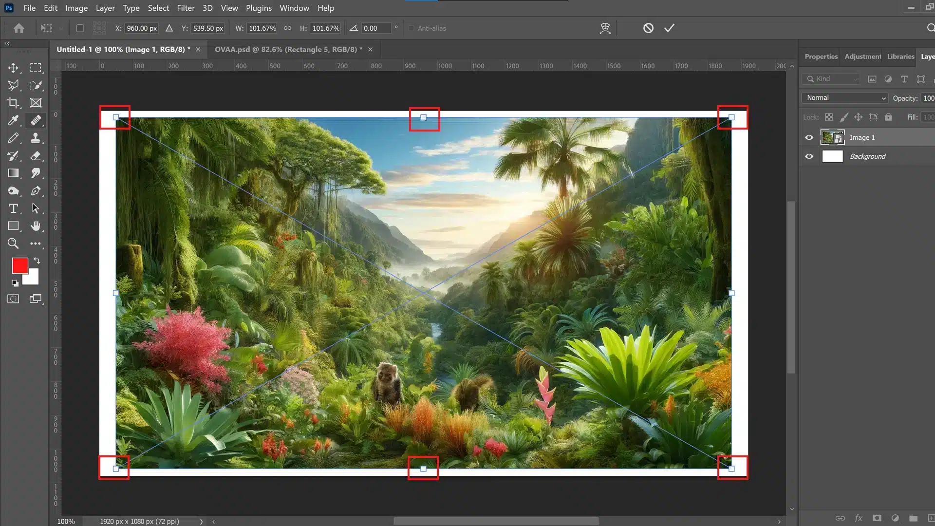 A photo of Adobe Photoshop showing an exotic wilderness image being resized using the transform controls. The image is selected with four corner handles and two side handles visible, ready for scaling.