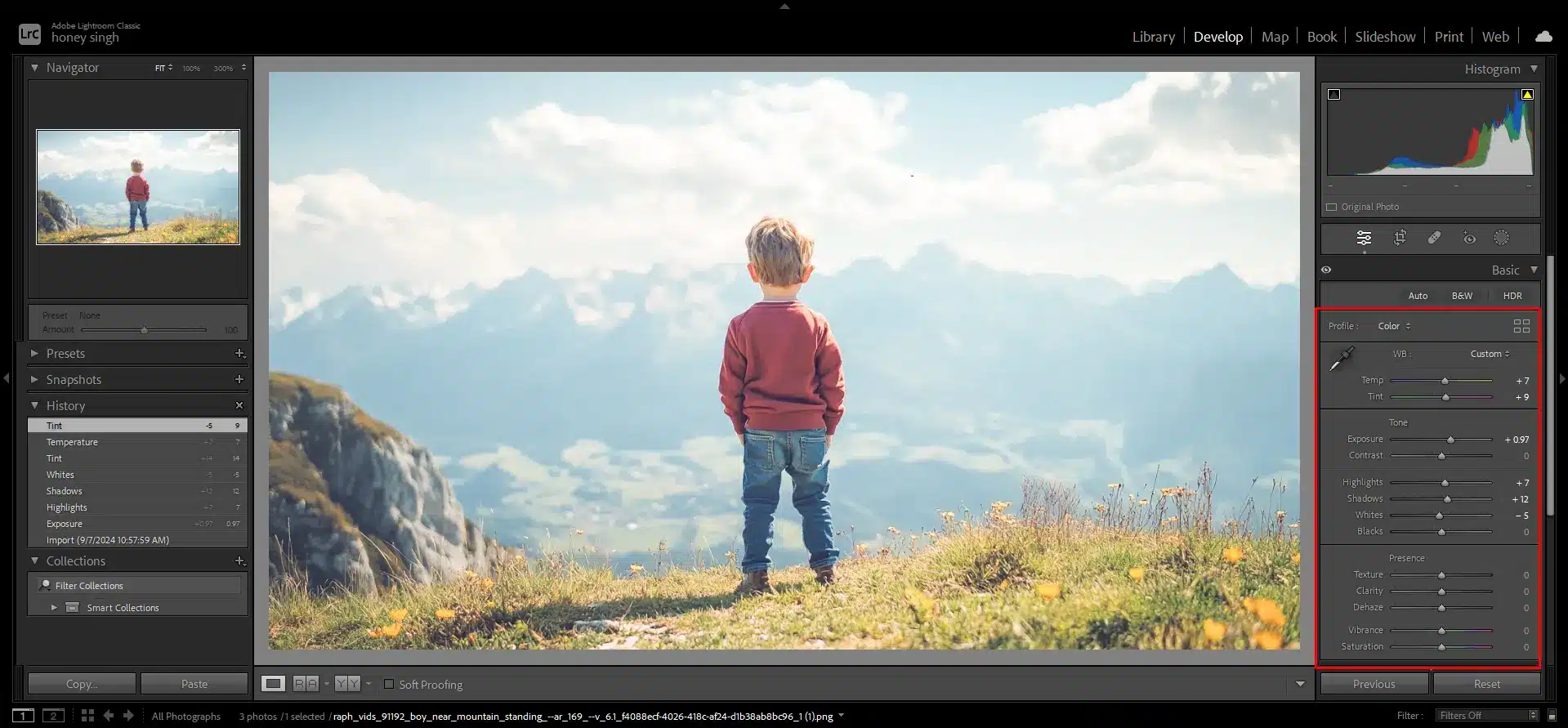 Adjusting exposure, color, and tint in a photo of a boy standing near a mountain landscape.