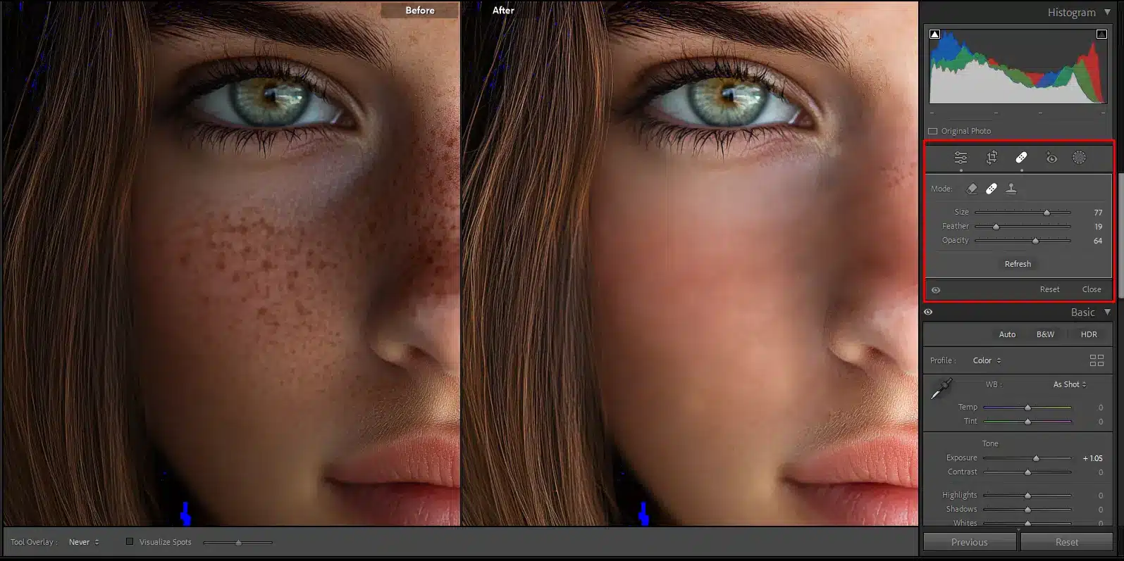 Close-up of Lightroom Classic’s interface showing before and after results of blemish removal using the Spot Removal Tool on a portrait with visible freckles.