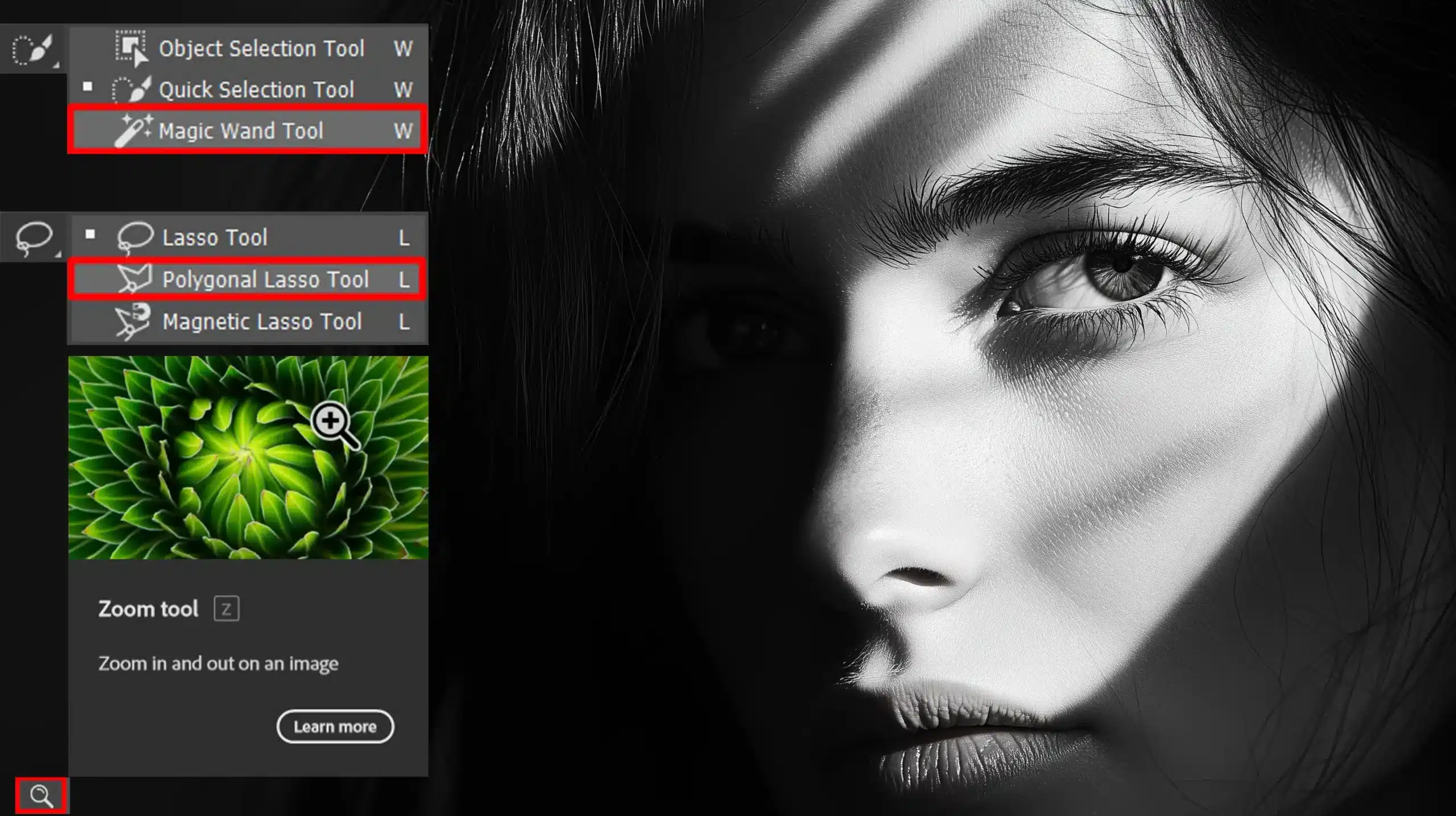 Selection Tools in Photoshop interface