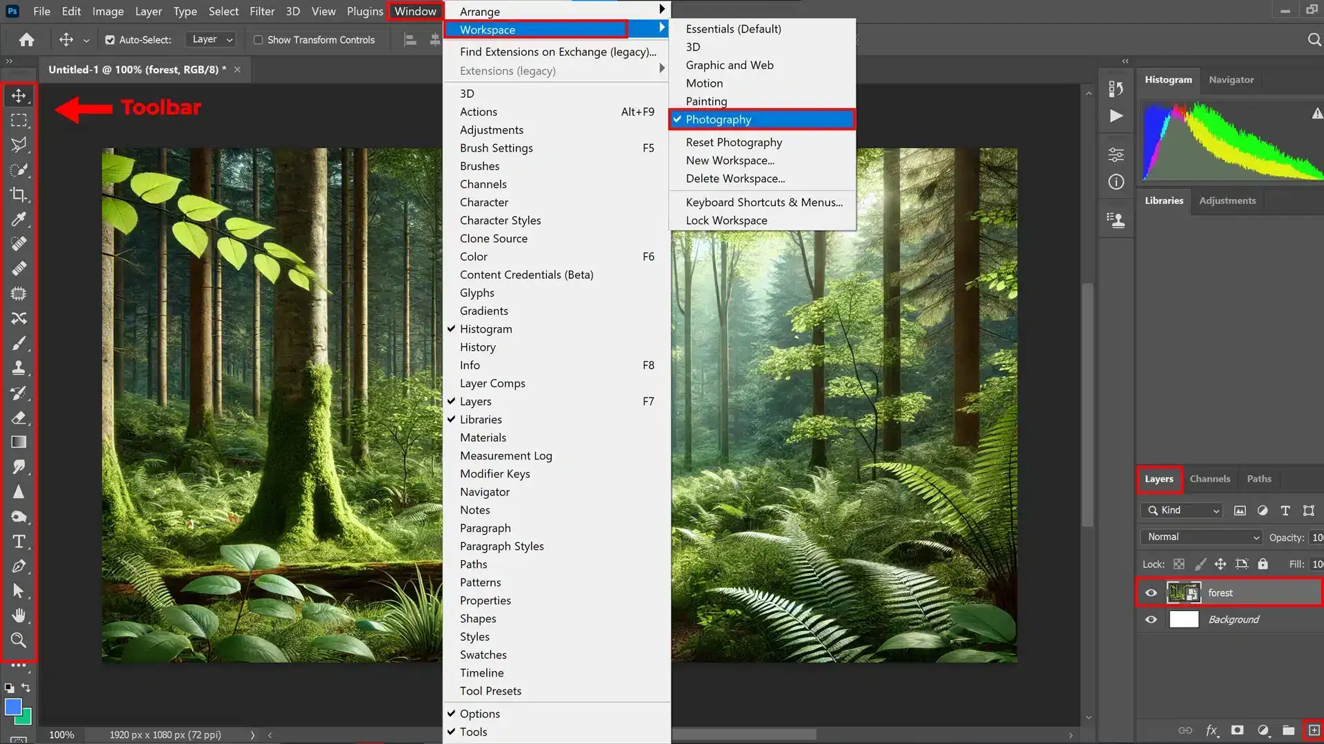 Ps interface showing the set up of workspace for photography, with the toolbar and layers panel highlighted.
