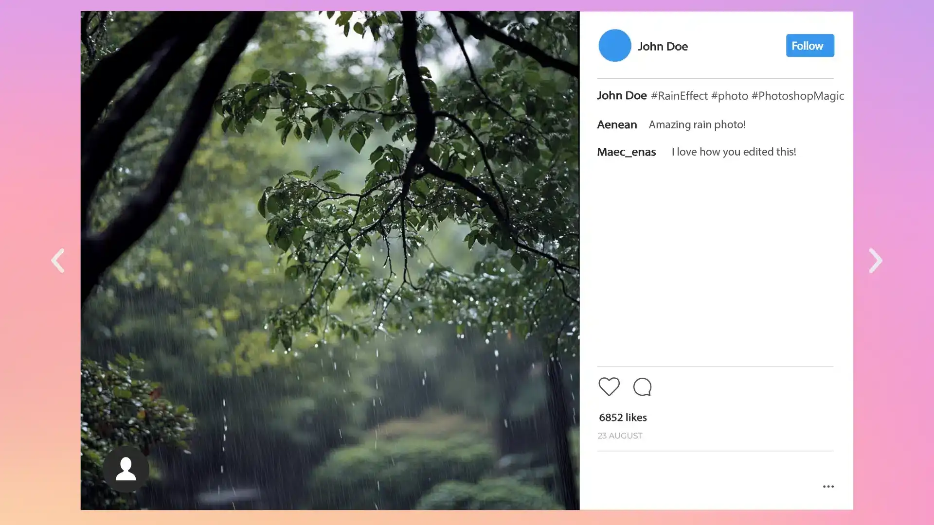 Instagram post featuring a rain-soaked tree branch with comments and likes, showcasing how rain effect photos can gain engagement on social media.