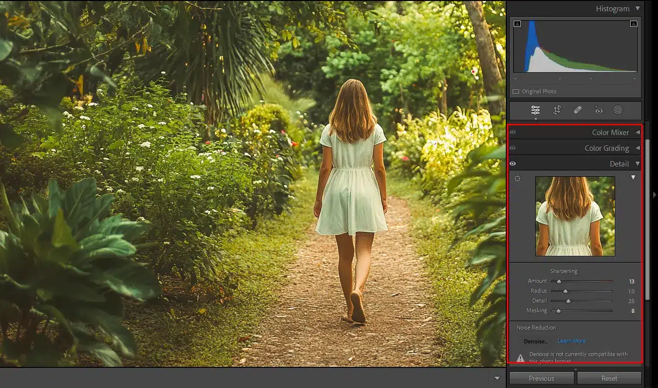 A photo of a girl walking on a forest path being enhanced in Lightroom Photo Editing Software with sharpening and color grading adjustments.