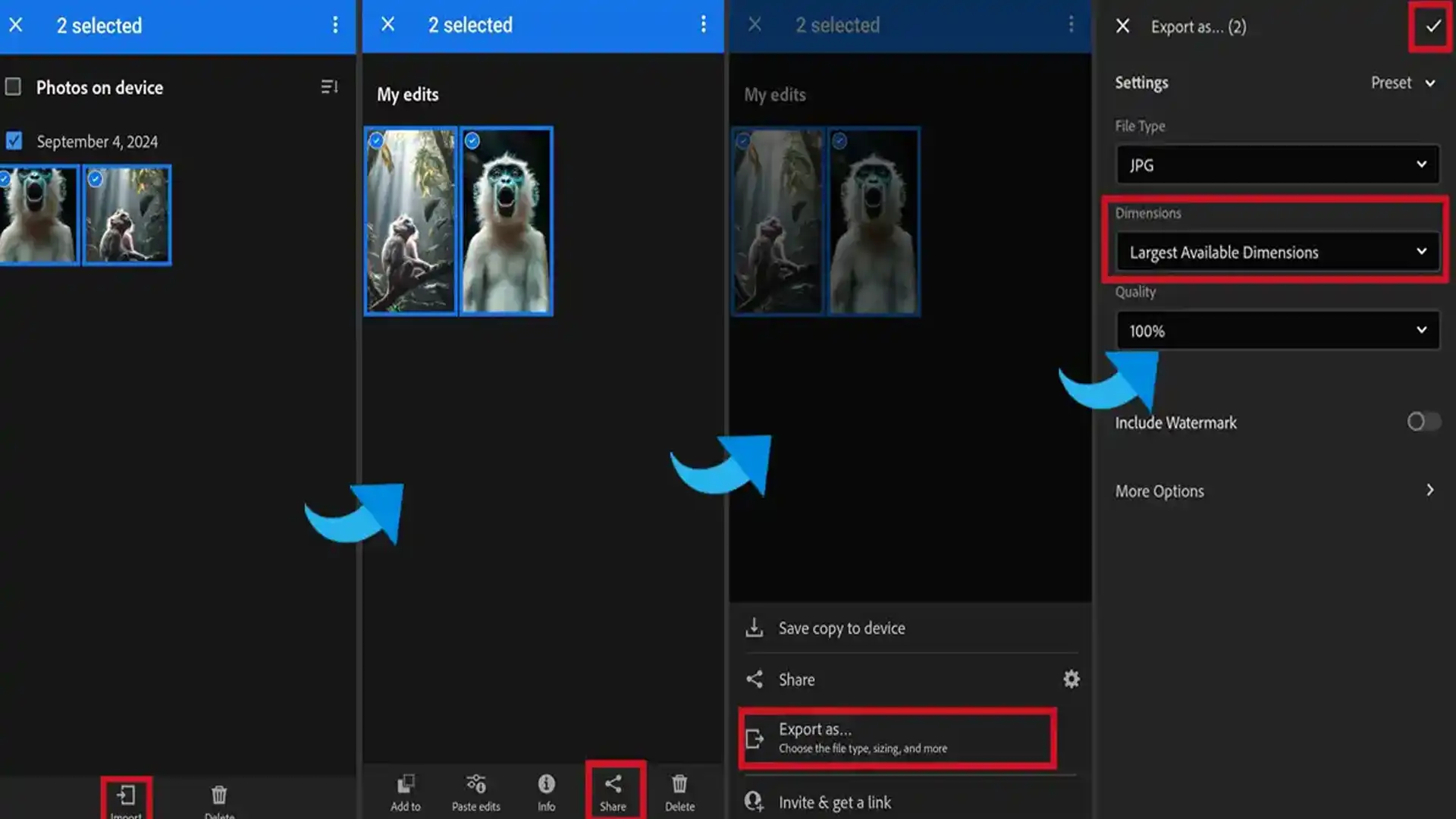 Batch Processing Steps in Lightroom Mobile"