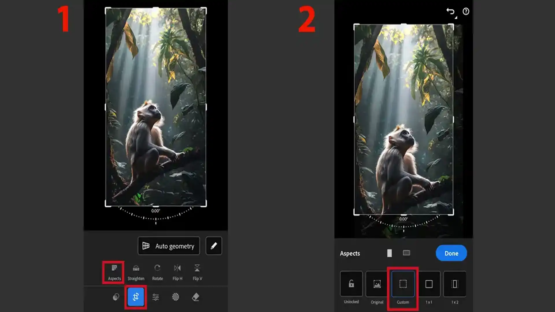 Creating Custom Aspect Ratios in Lightroom Mobile