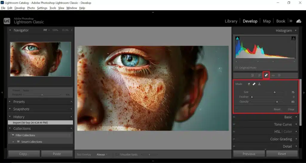 Close-up of a freckled face edited using the Lightroom Patch Tool, with tool settings visible in the Develop module. It is clearly depicting the usage of Patch tool in Lightroom.