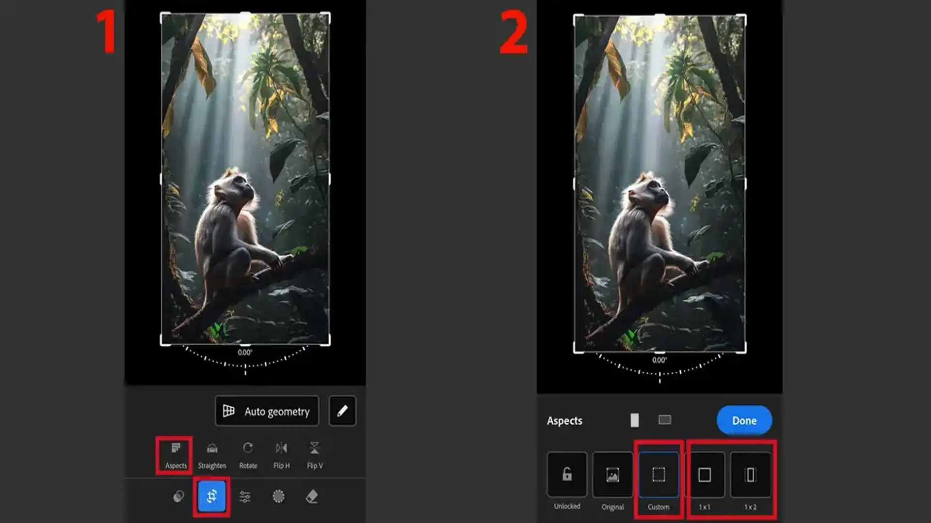 Using the Crop Tool in Lightroom Mobile