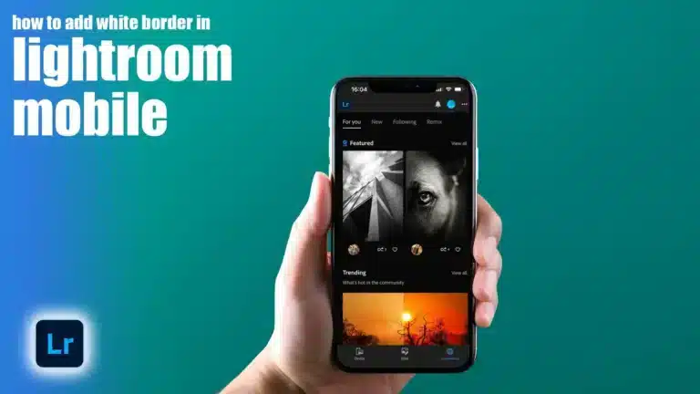 Hand holding a smartphone with Adobe Lightroom Mobile app open, demonstrating how to add a white border to photos.