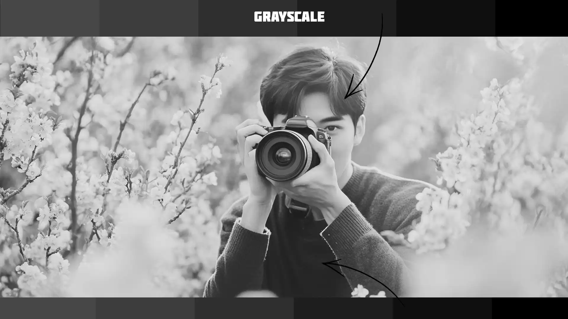 Photographer in a field of blossoms captured in grayscale using Photoshop.