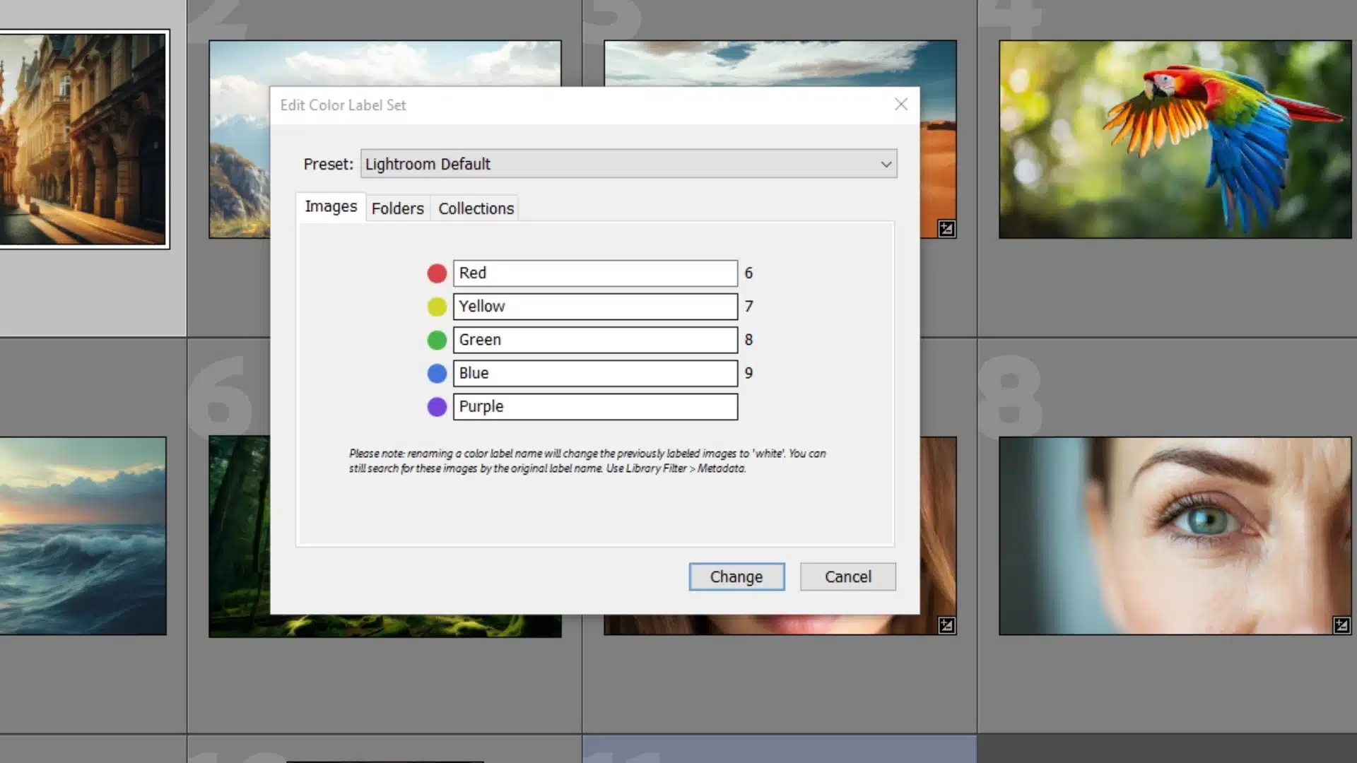 Lightroom interface displaying the editing options, allowing customization like red, yellow, green, blue, and purple.