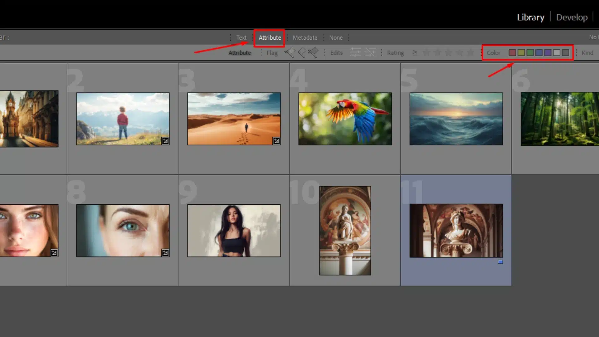 Lightroom interface showing the Attribute tab with options to filter images by tags such as red, blue, green, and others.