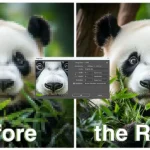 Step-by-step guide on improving clarity of an image in Ps, showing before and after results