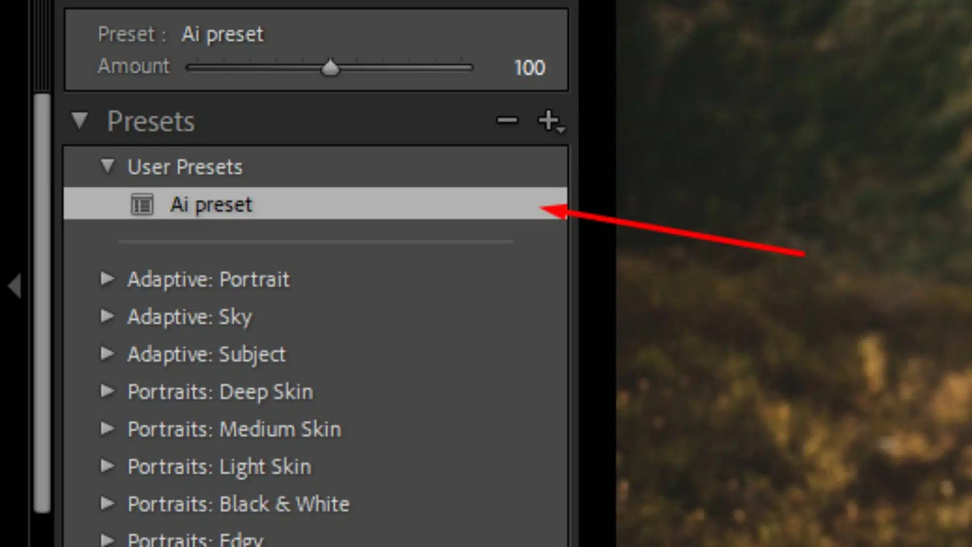 Lightroom Classic panel displaying hidden presets and showing the steps to reveal partially compatible presets.