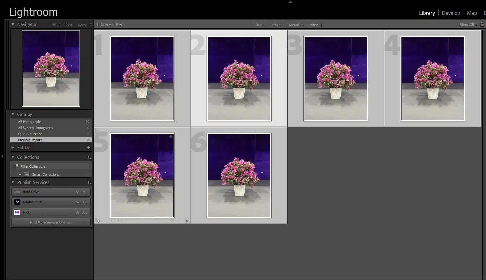 Lightroom interface showing a sequence of bracketed photos of a potted plant, prepared for HDR merging.