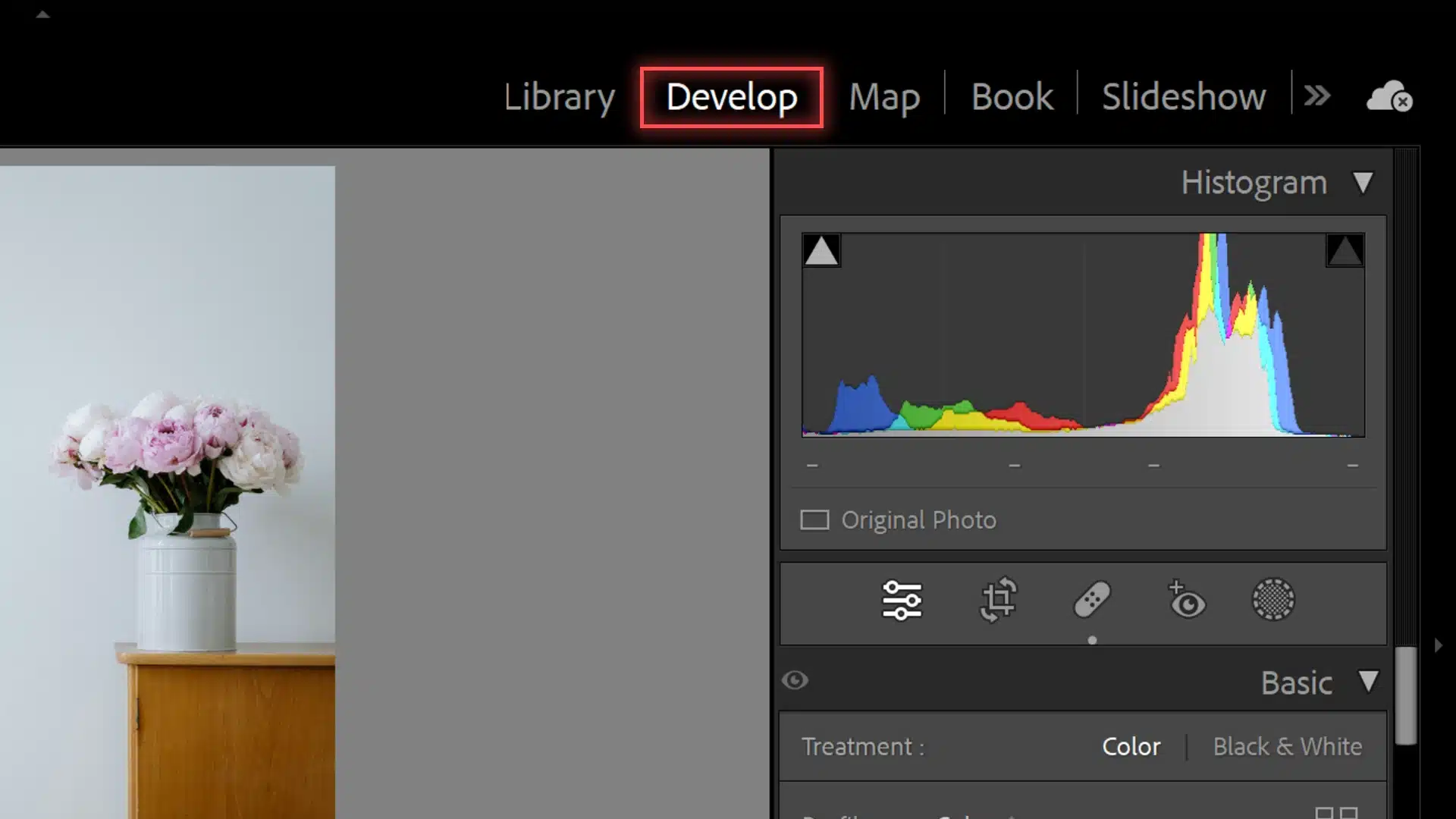 The screenshot shows Adobe Lightroom's main interface, highlighting the location of the Develop module.