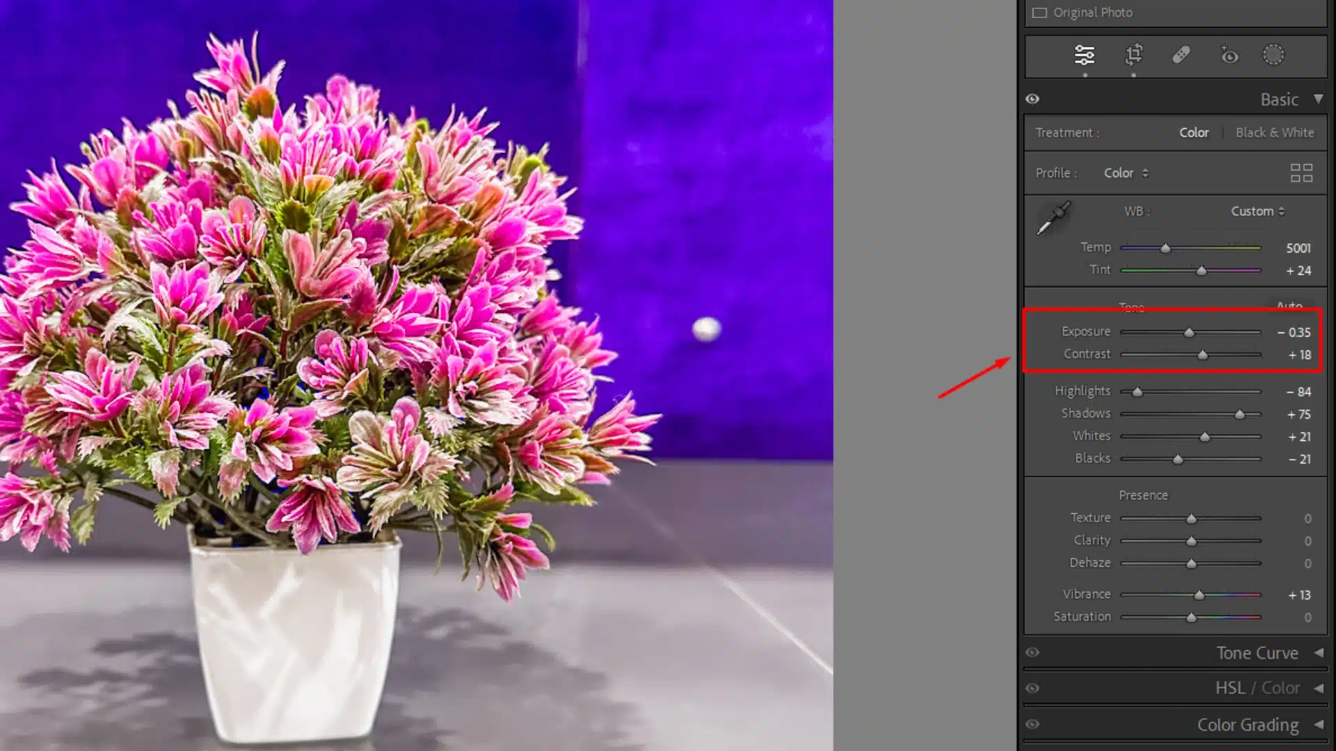 Lightroom Develop module showing exposure and contrast adjustments after HDR merge for a vibrant potted plant image.