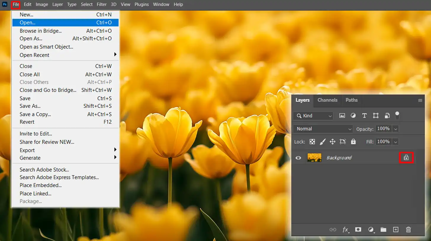 Photoshop interface showing a yellow flower background image being prepared for vectorization with the Layers panel open