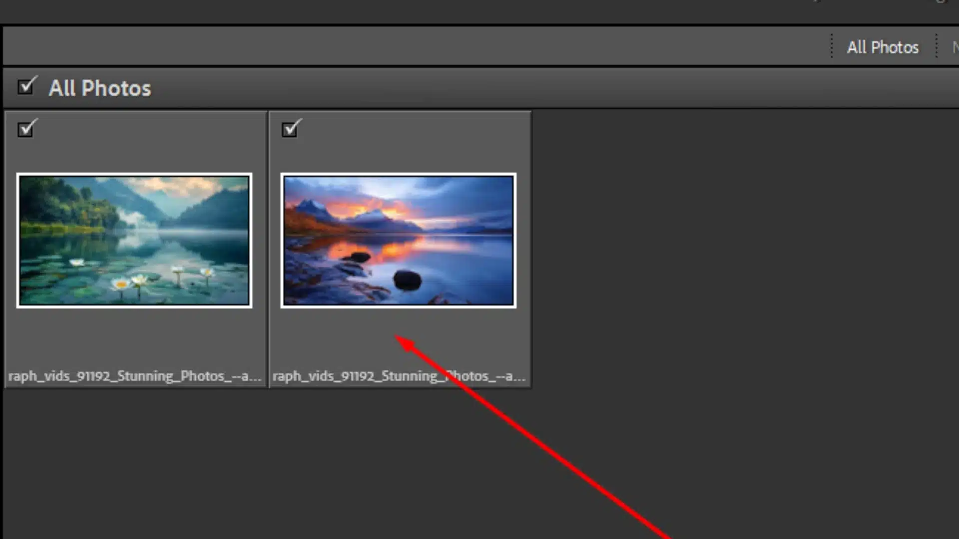 This interface displaying two photos selected for import with a red arrow pointing to the selected images.