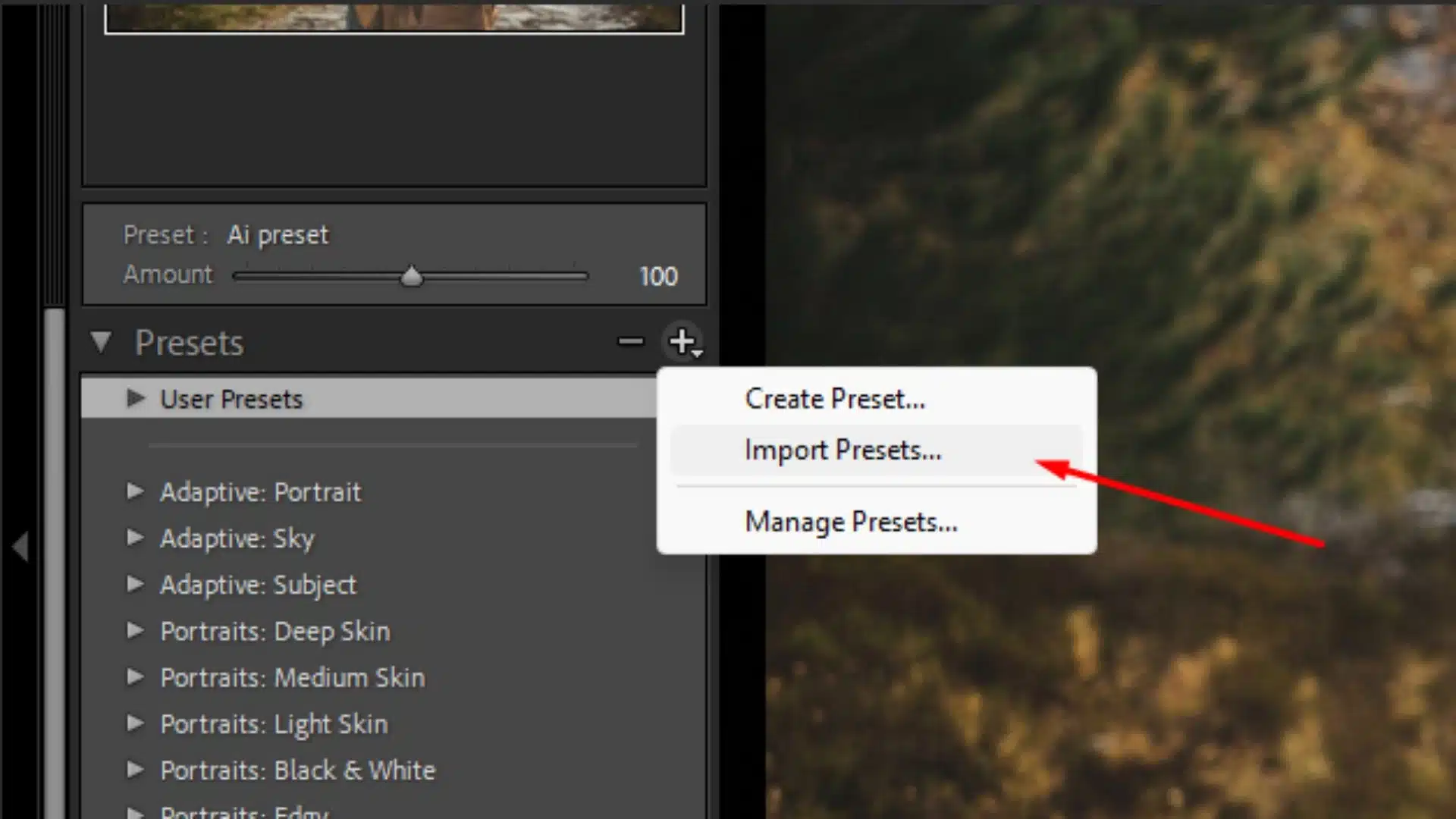 A screenshot showing the Lightroom Classic presets panel with an arrow pointing to the "Import Presets" option, guiding users on how to re-import missing presets.