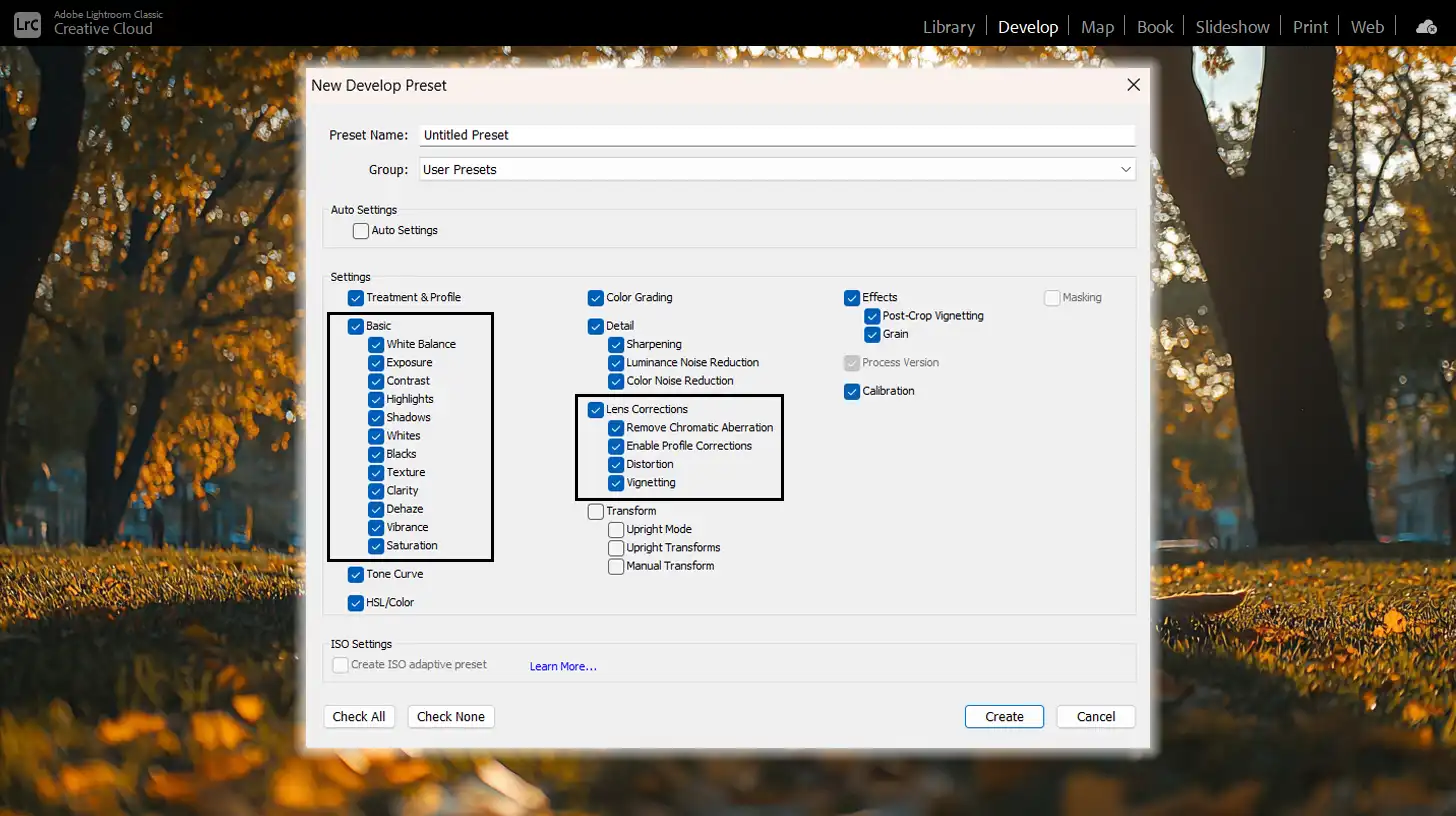 New Develop Style window in Lr for saving custom settings