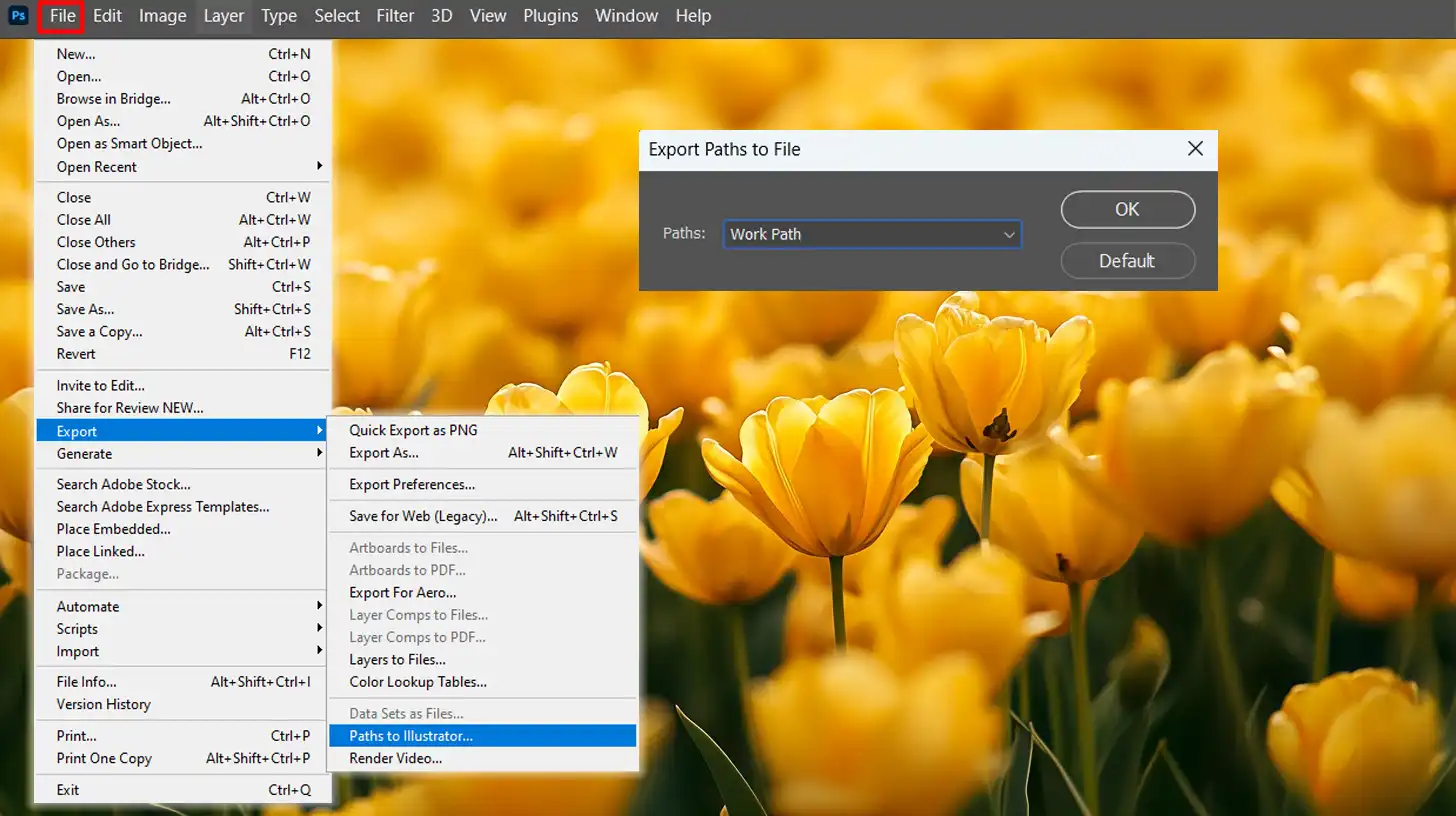 Photoshop Export options for saving a vectorized image of yellow flowers as a path to Illustrator