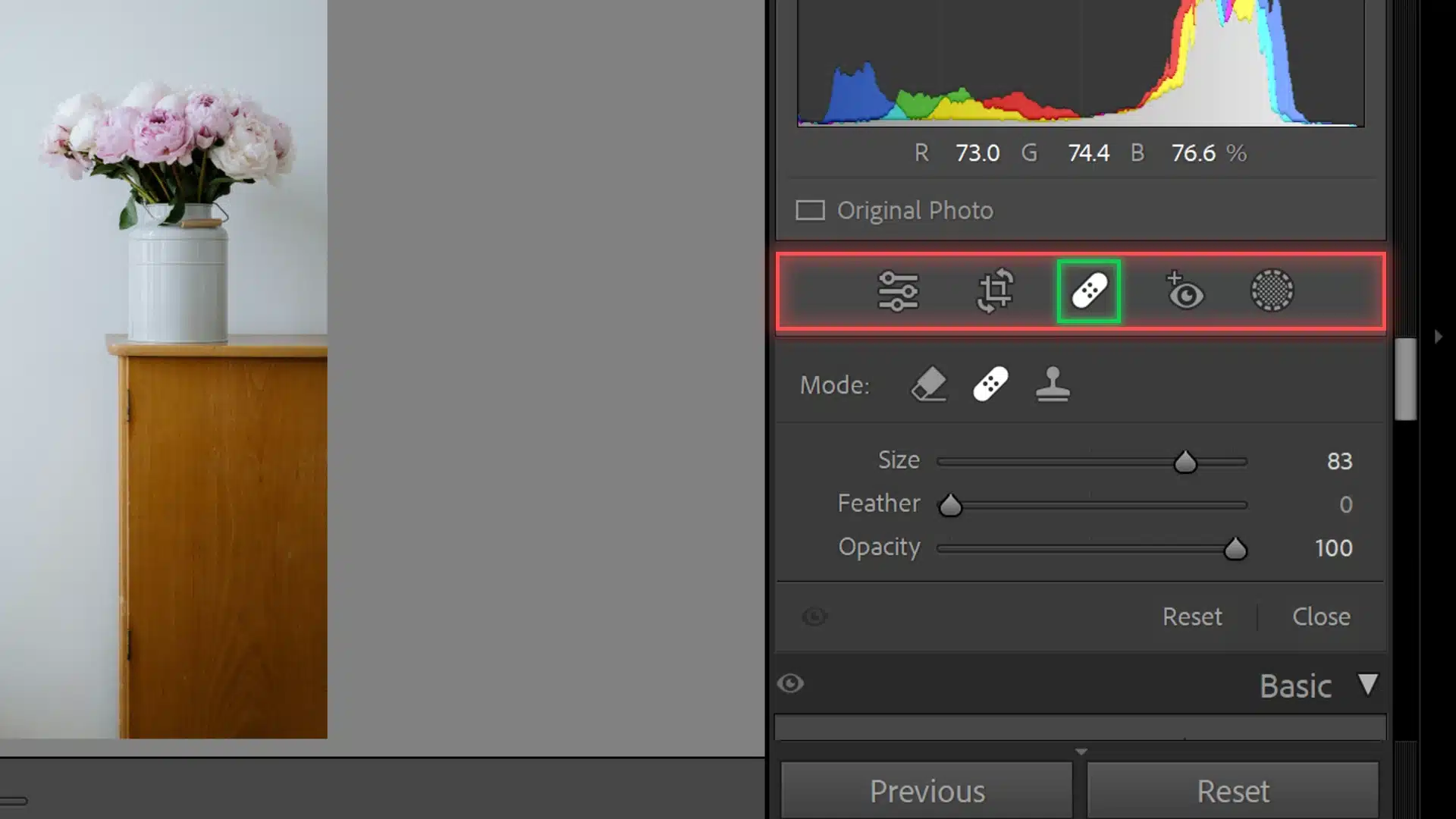 The screenshot shows Adobe Lightroom's Develop module with the toolbar open. The Spot Removal tool is highlighted, indicating its selection for editing purposes, alongside other editing tools available in the toolbar.