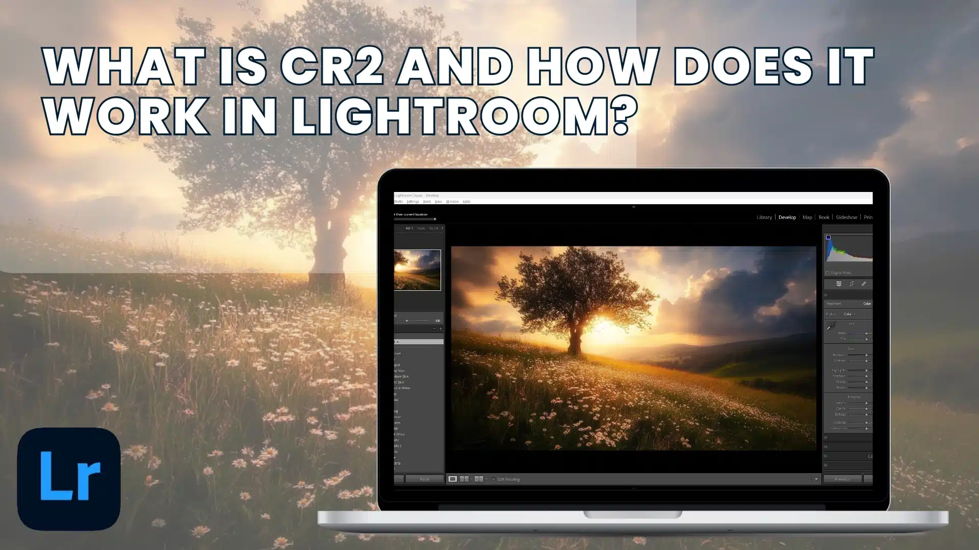 Lightroom CR2 file editing displayed on a laptop, showing image adjustments in progress.