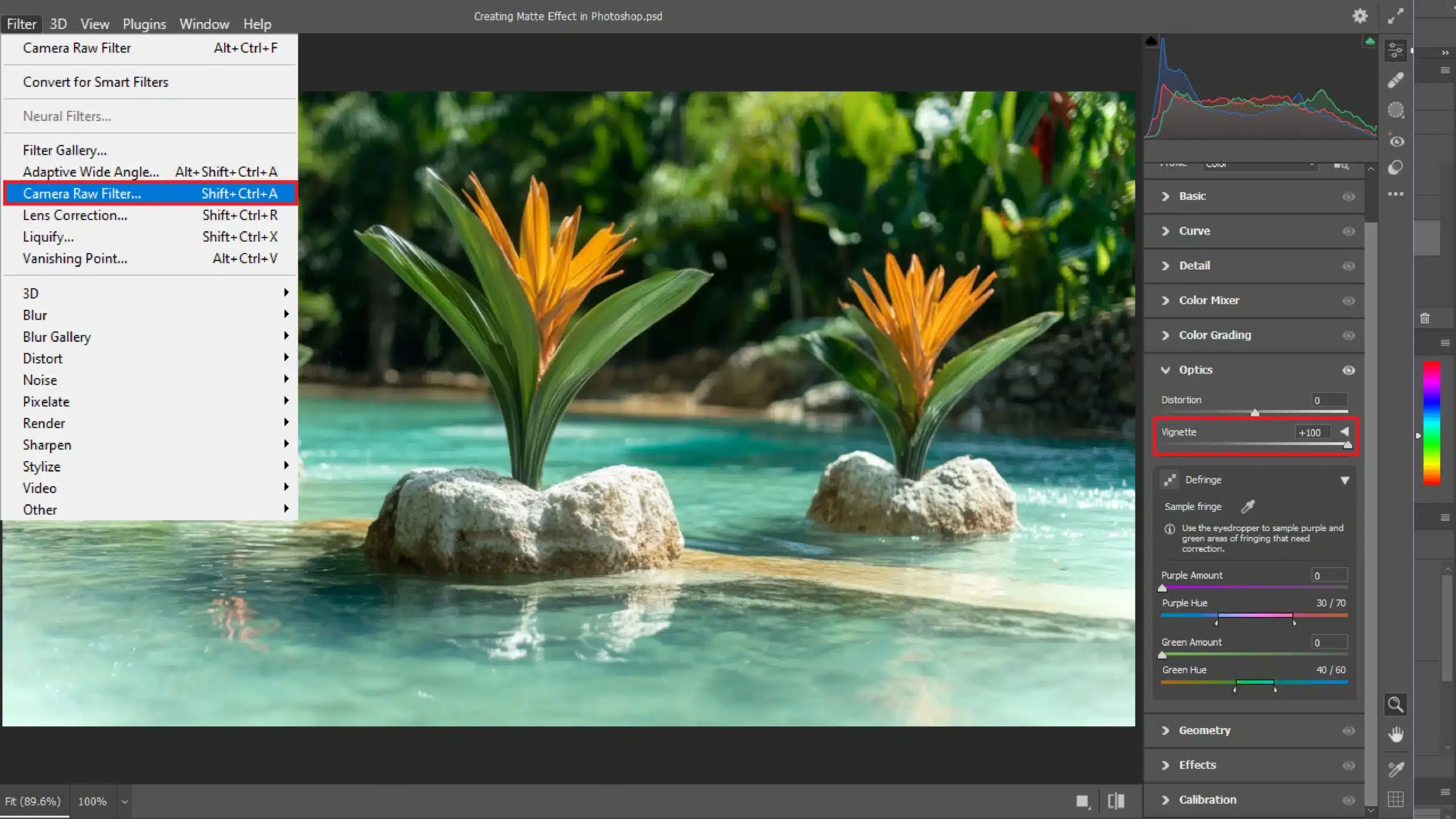 A Photoshop workspace showing the steps to apply a matte effect using the Camera Raw Filter and Vignette adjustments. The photo features two vibrant orange flowers on rocks in a clear pool, with Photoshop’s Filter and adjustment settings visible.