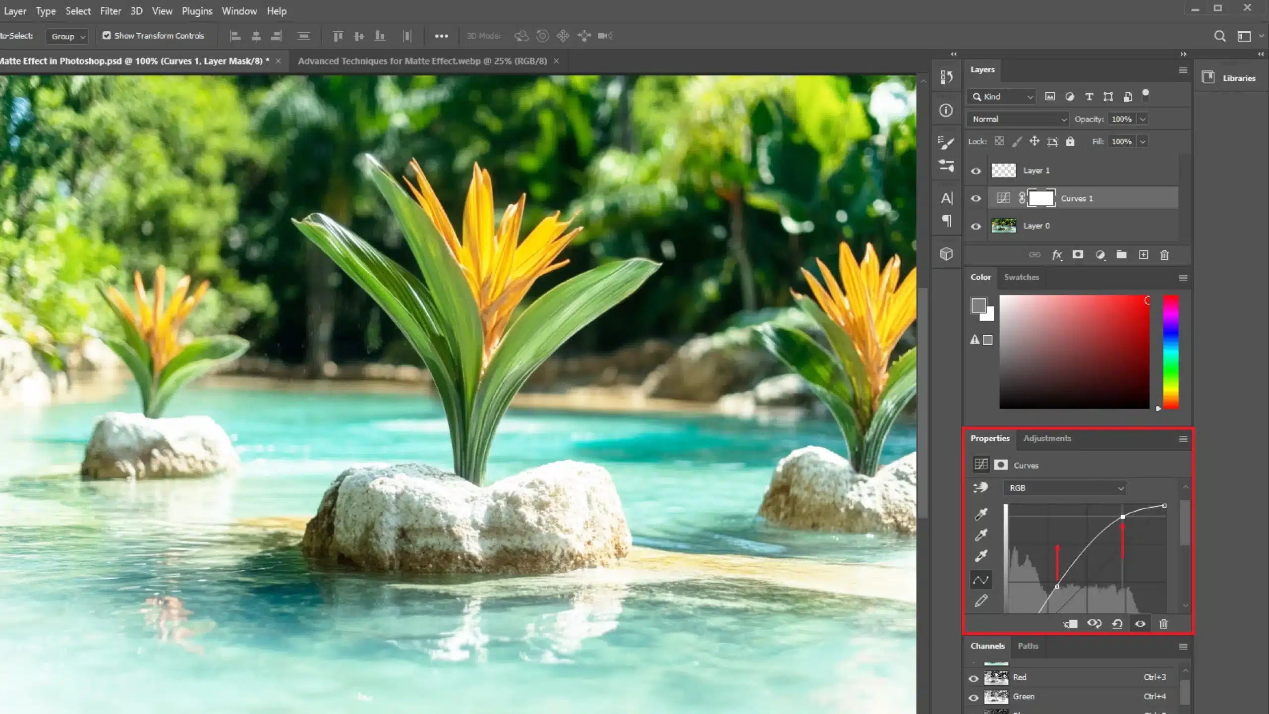 A Photoshop workspace demonstrating how to apply a matte effect using the Curves adjustment layer. The image shows a vibrant photo of orange flowers in a pool, with the Curves adjustment layer open and two control points on the curve lifted to soften shadows and create a matte look.