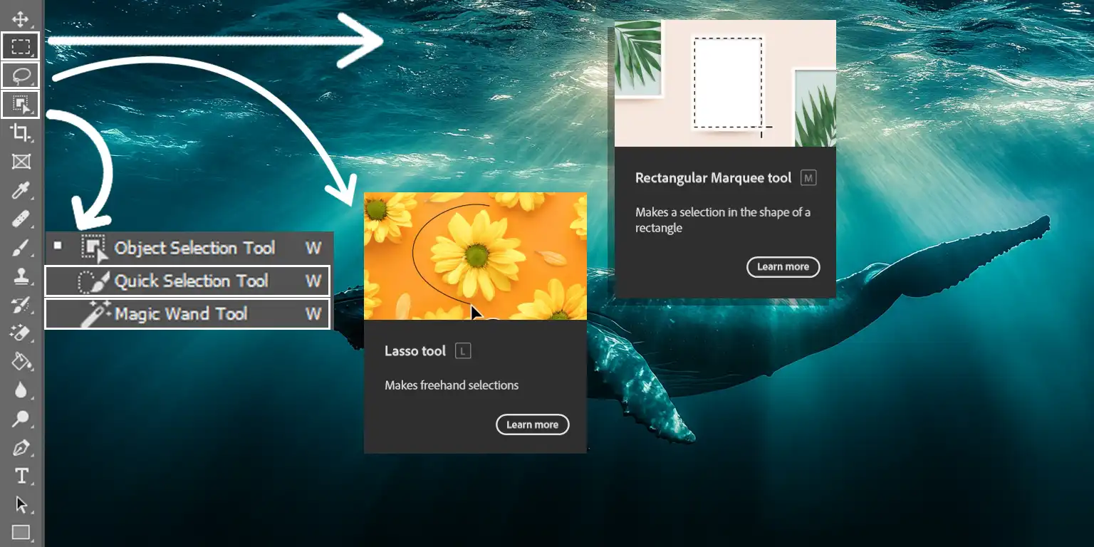 Photoshop selection tools for editing