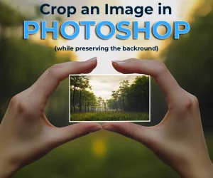 Hands holding a cropped image in a forest setting to demonstrate how to crop an image in Photoshop while preserving the background.