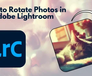 Illustration showing how to rotate photos in Adobe Lightroom, featuring a cat photo being rotated with the Lightroom Classic (LrC) logo.