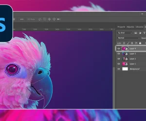 Parrot image in Photoshop workspace demonstrating how to select a layer in Photoshop, with layers panel showing multiple selected layers and adjustment options.