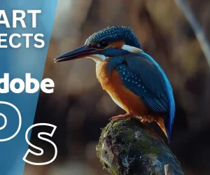 This image is showing Kingfisher perched on a branch with Smart Objects text and icon of it in the bottom right corner.