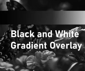 The image features a black and white gradient overlay effect applied to a photograph of flowers